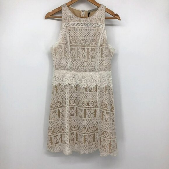 NWT Allsaints Melia Lace sleeveless mini Dress Size 6 in Oyster White - Picture 3 of 16